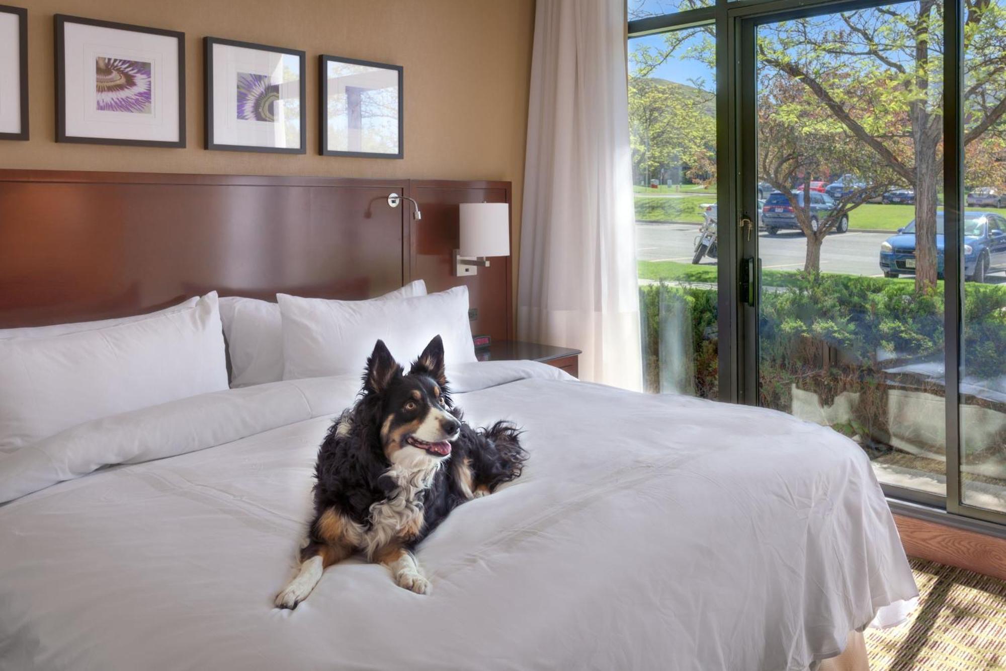 Salt Lake City Marriott University Park מראה חיצוני תמונה